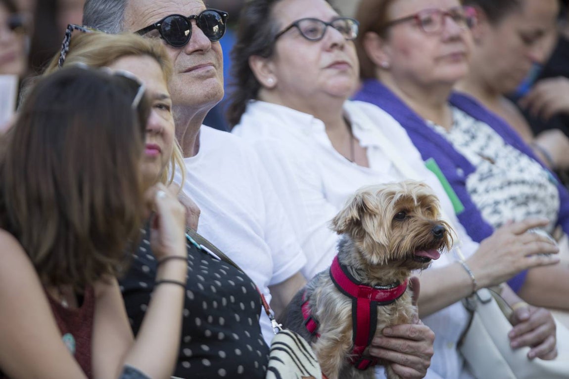 FOTOS: Mitin de Kichi en la plaza de Mina. Elecciones Municipales Cádiz 2019