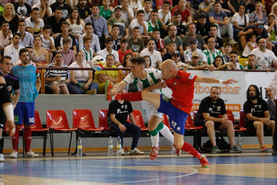 La brillante victoria del Córdoba Futsal, en imágenes
