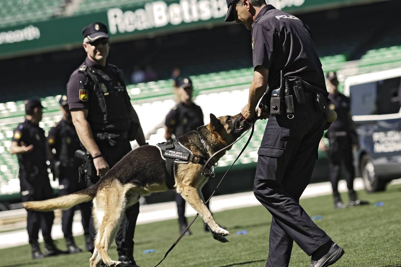 Exhibición de la Policía Nacional en el Benito Villamarín