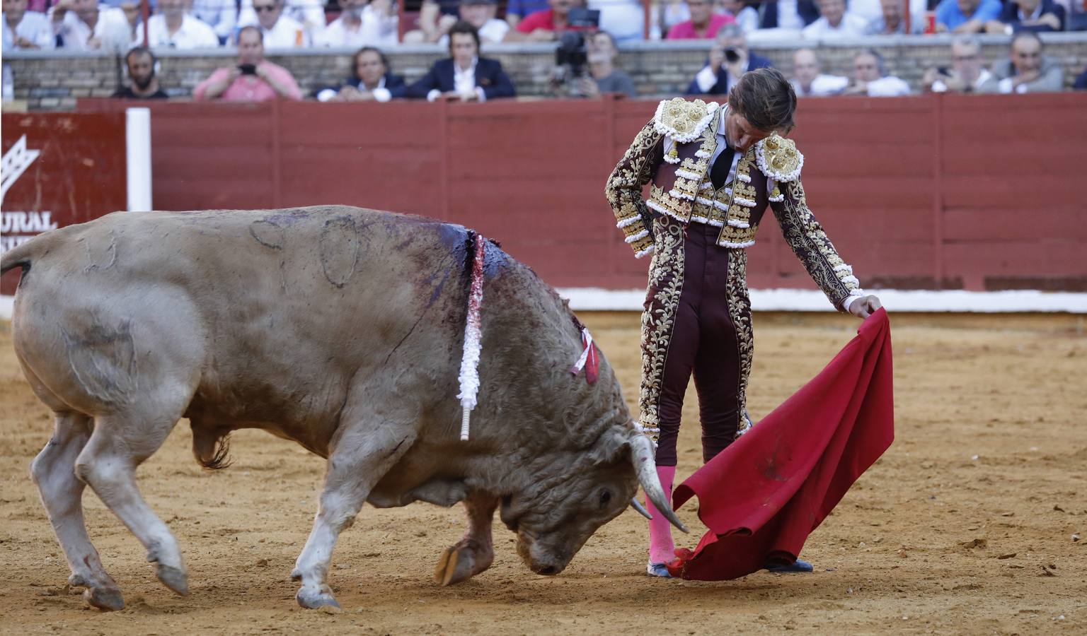 En imágenes, el festejo de Finito, Morante y Juli en la Feria de Córdoba