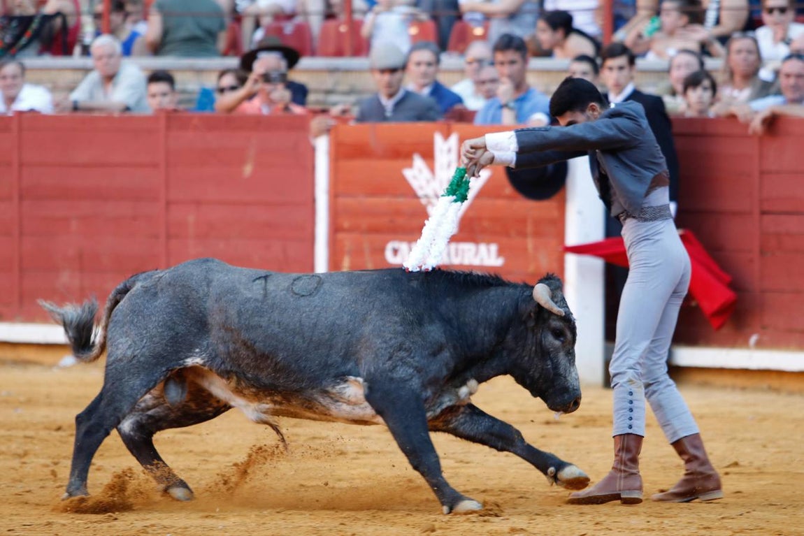 La becerrada de la mujer cordobesa en la Plaza de Toros de Los Califas, en imágenes