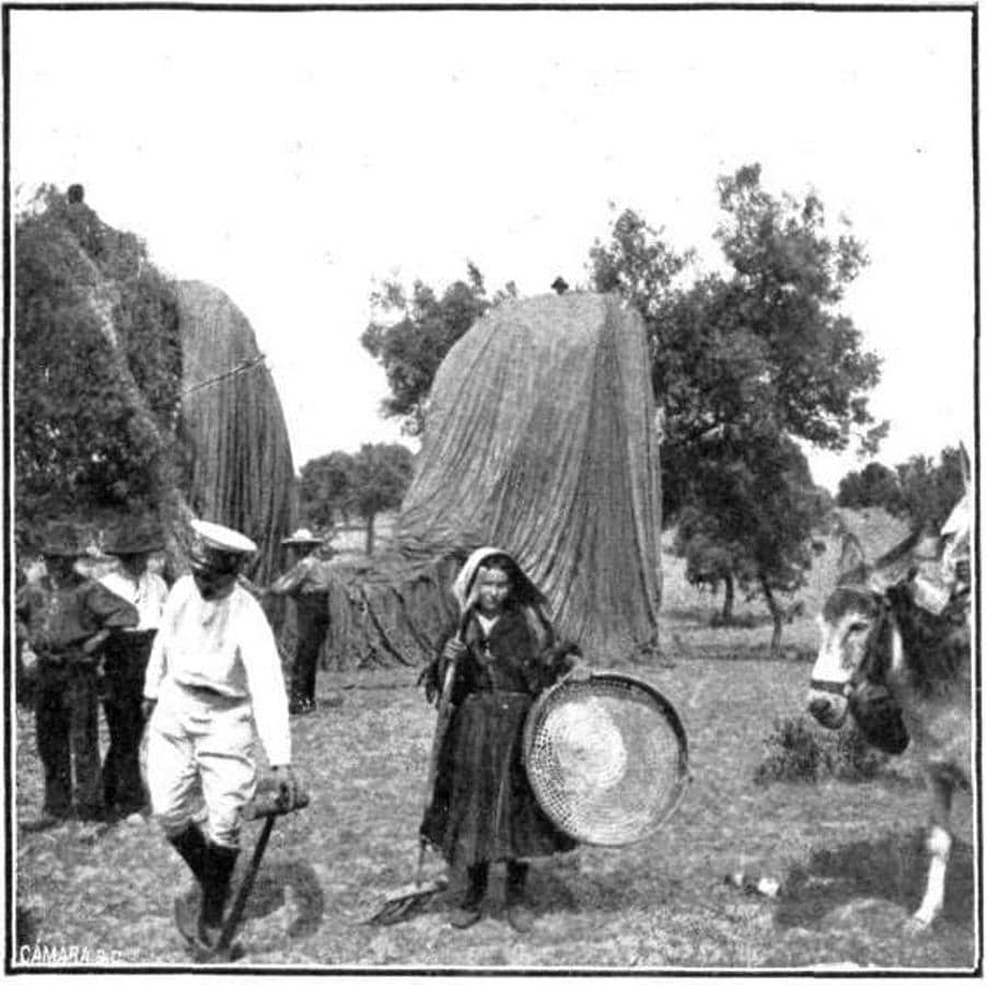 Caída del globo «La Montaña» en los encinares de Oropesa, abril de 1912. Mundo Gráfico. 