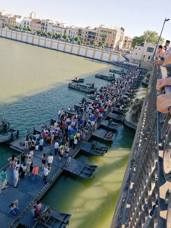 #FuerzasArmadasABC: así han captado nuestros lectores los actos de las Fuerzas Armadas