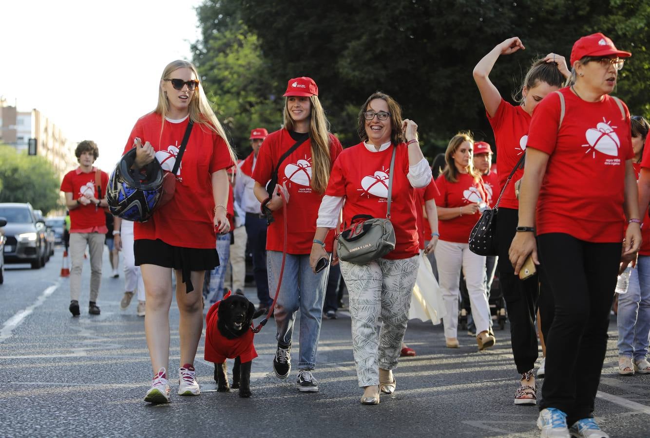 La marcha por la donación en Córdoba, en imágenes