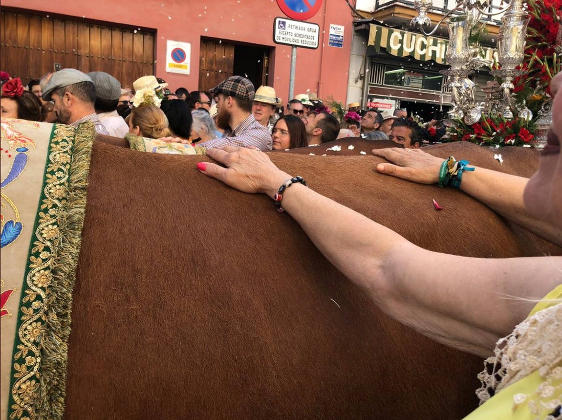 #MiRocíoenABC: los primeros días del Camino del Rocío a través de las fotos de nuestros lectores