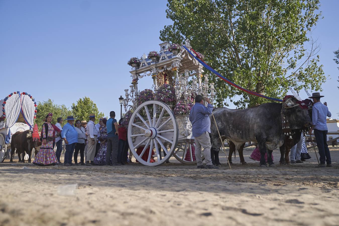 Las primeras presentaciones de las hermandades en el Rocío