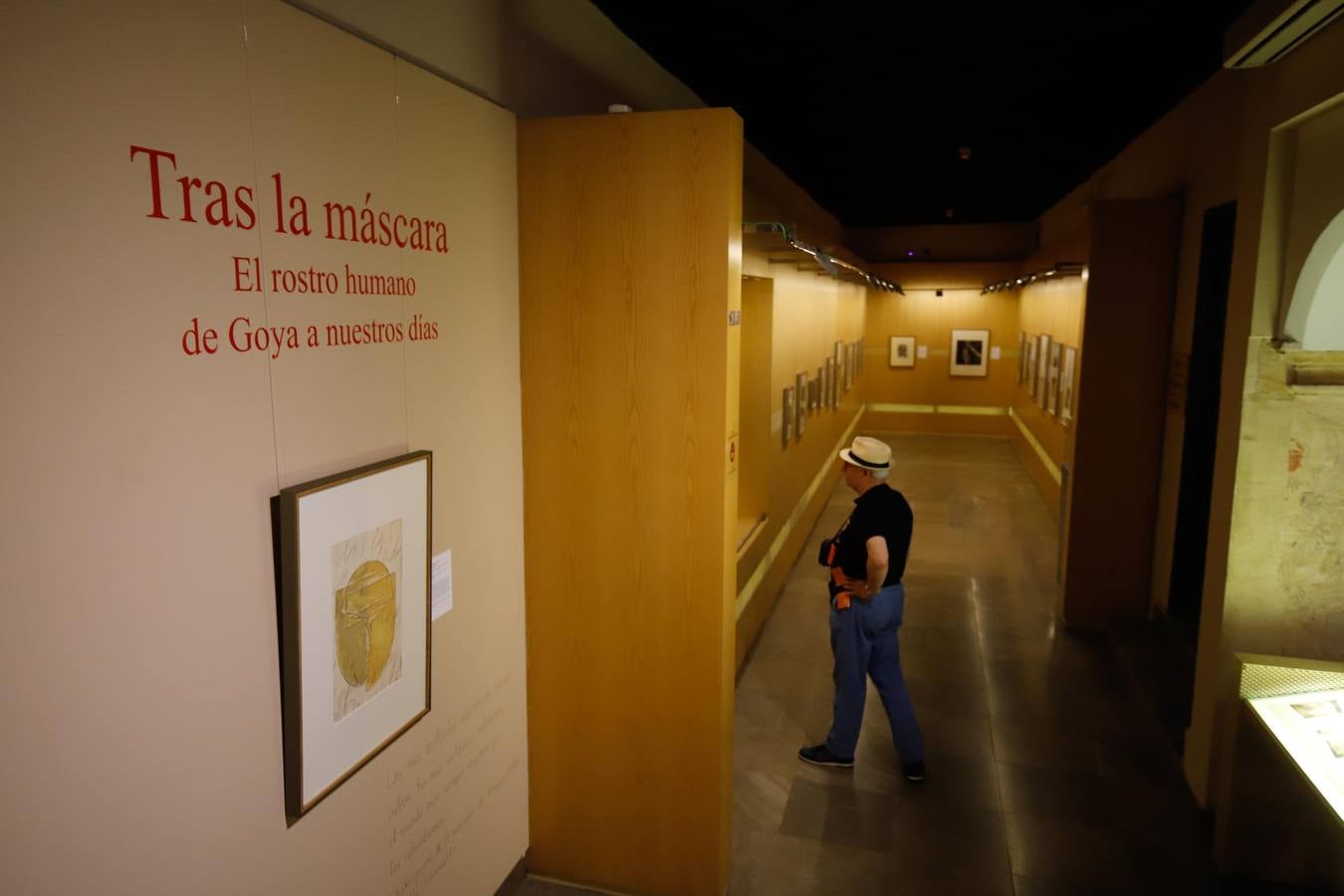 El museo de Bellas Artes de Córdoba, en imágenes