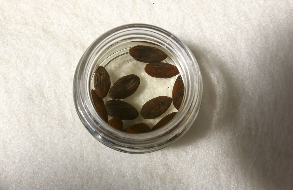 FOTOS: Patrimonio subacuático de Cádiz