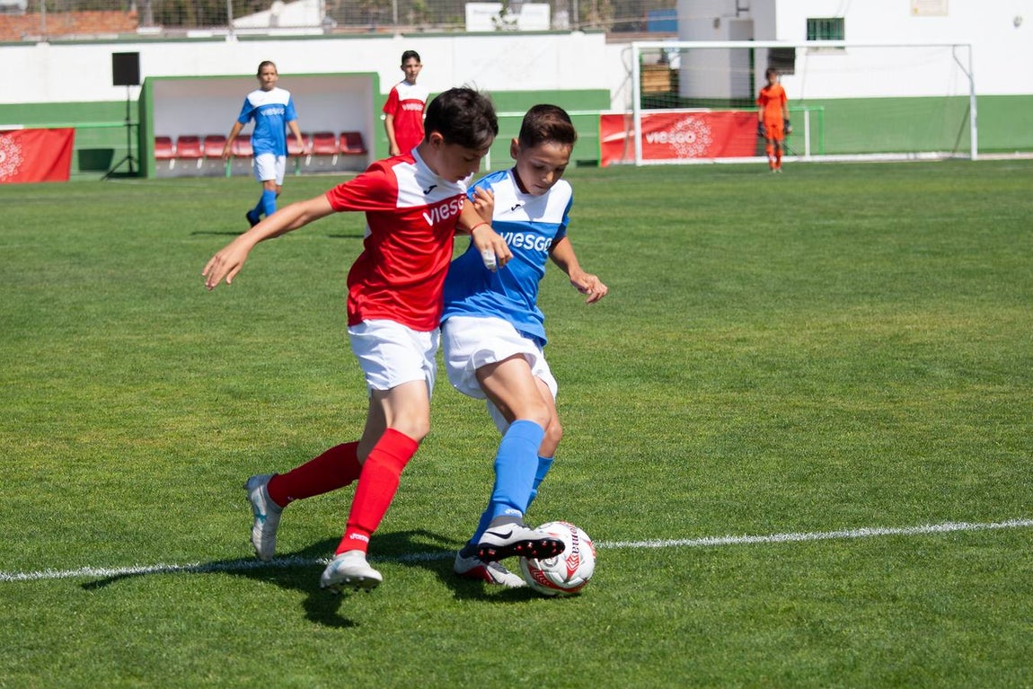 FOTOS: La Copa Viesgo, en imágenes