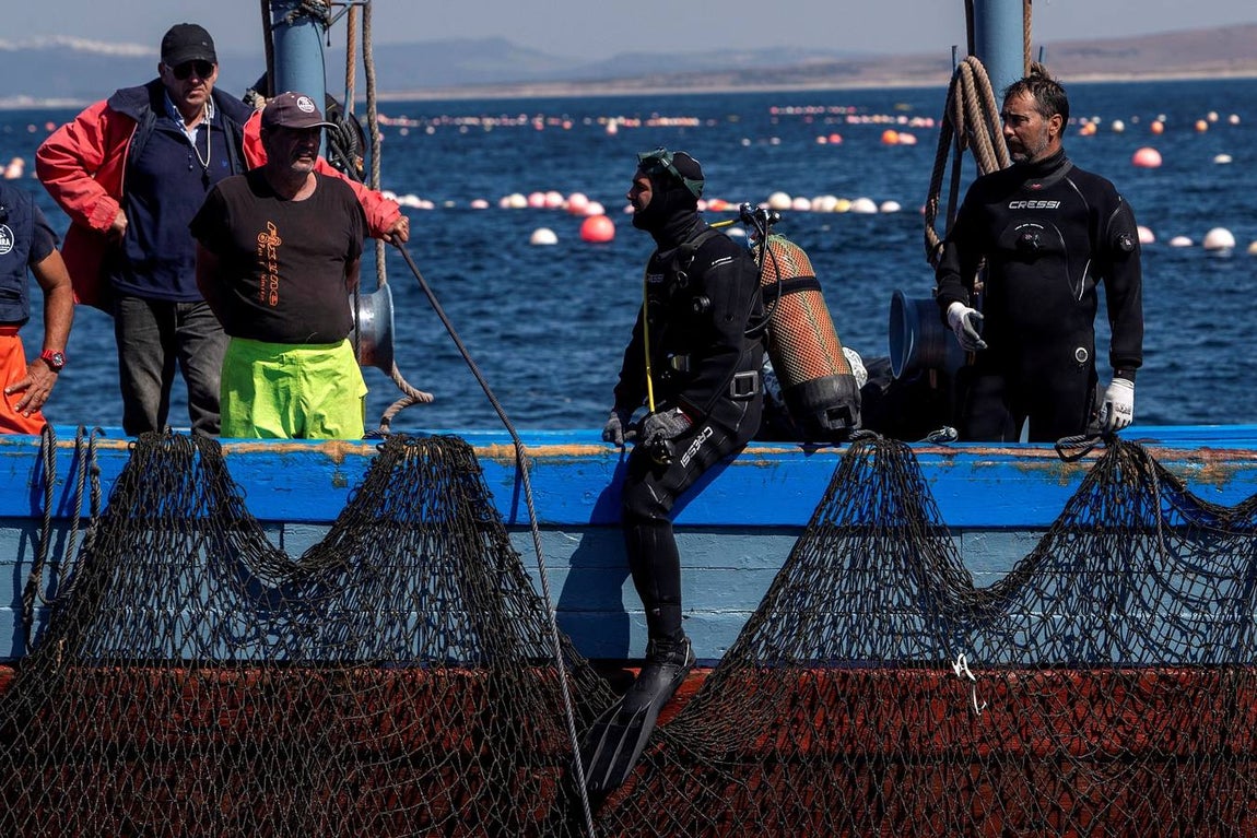 Almadrabas, una saga de tres mil años