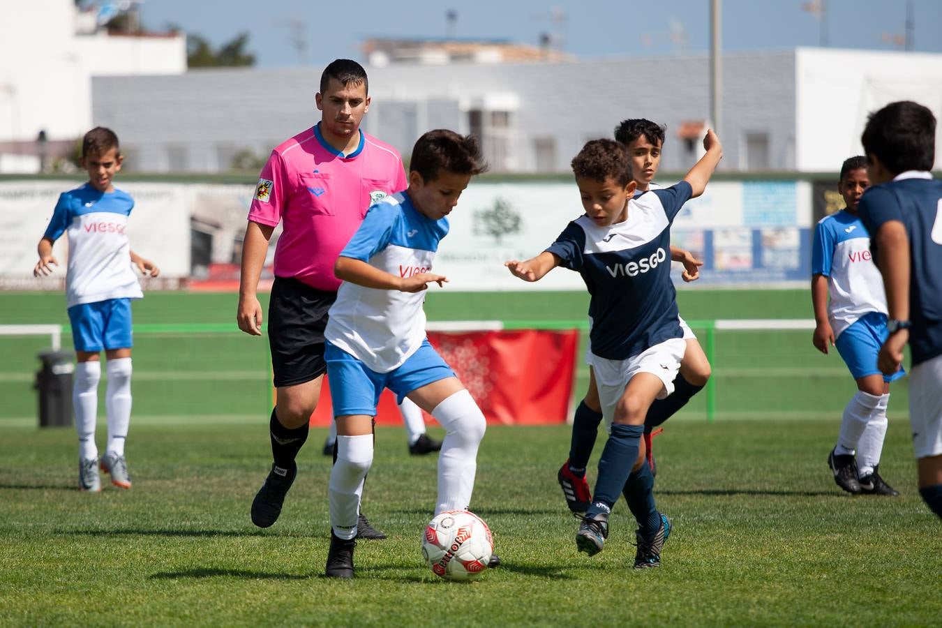 Copa viesgo: semifinales y final categoría bebé