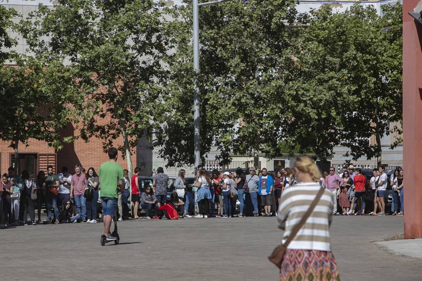 Las colas para las invitaciones del concierto de Rosalía en Córdoba, en imágenes