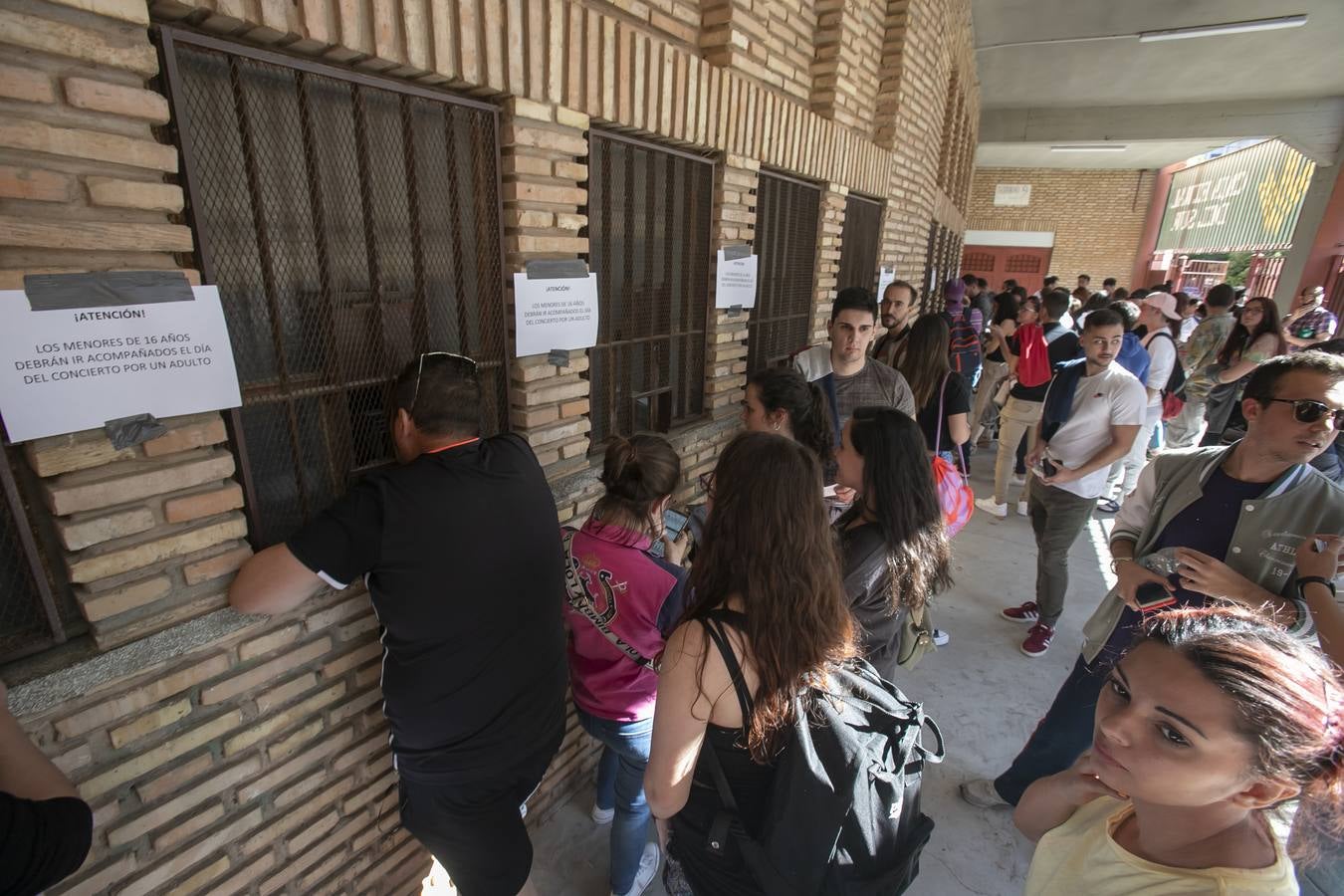 Las colas para las invitaciones del concierto de Rosalía en Córdoba, en imágenes