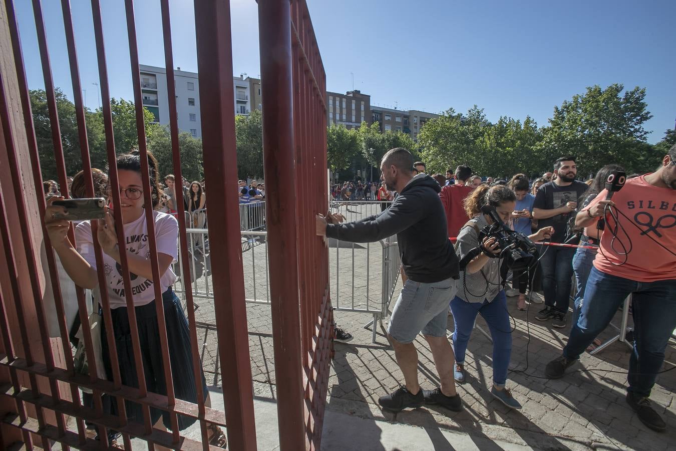 Las colas para las invitaciones del concierto de Rosalía en Córdoba, en imágenes