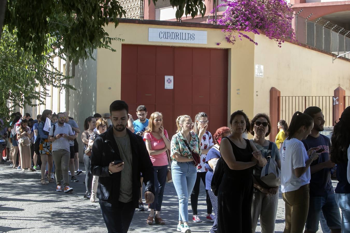 Las colas para las invitaciones del concierto de Rosalía en Córdoba, en imágenes