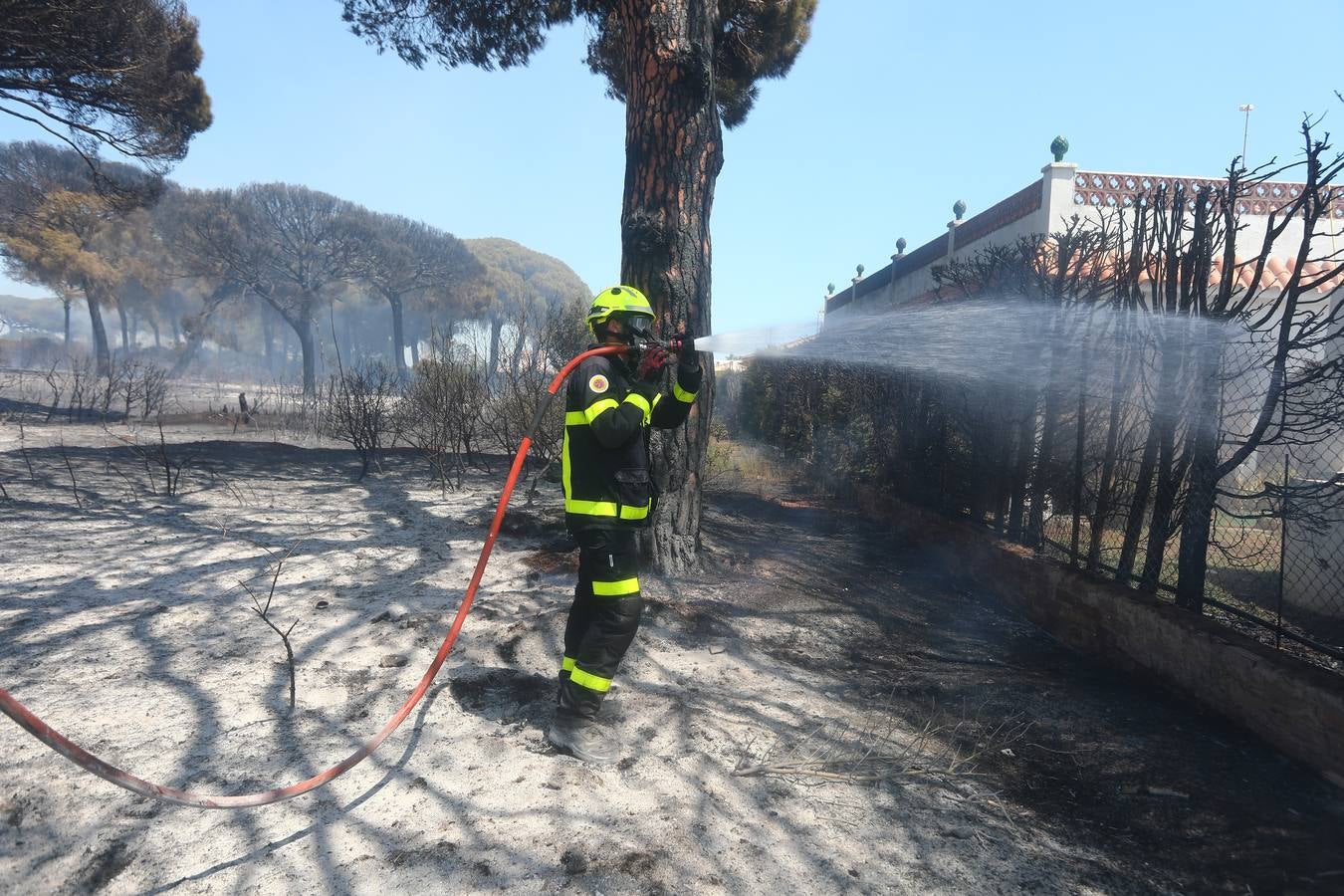 Fotos: Grave incendio en Conil, Cádiz