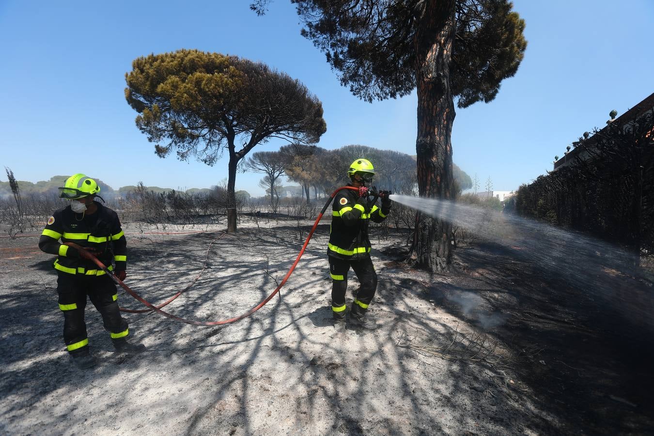 Fotos: Grave incendio en Conil, Cádiz