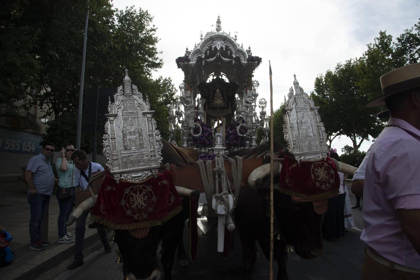 Galería de la vuelta de las hermandades del Rocío a Sevilla