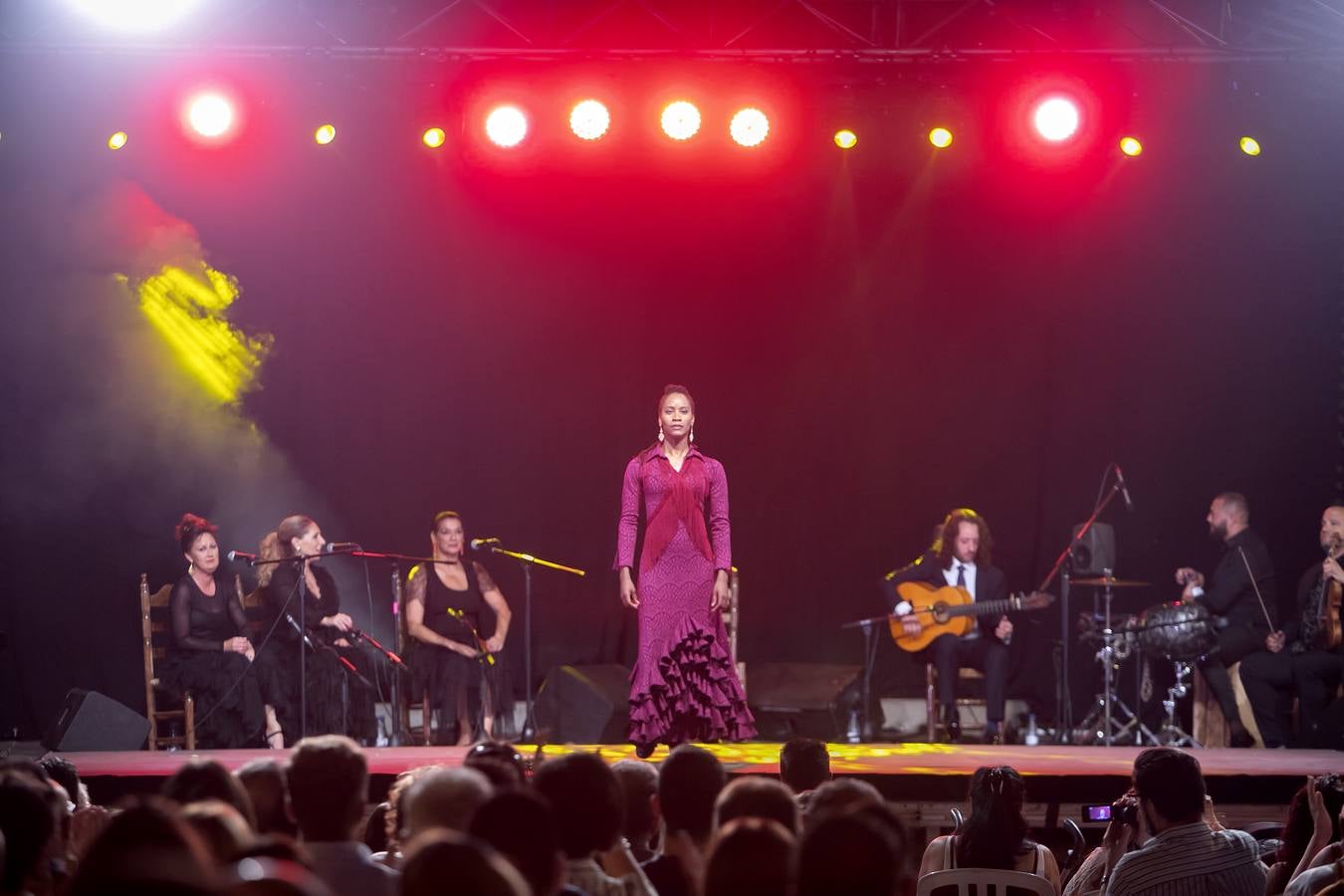 Galería del concierto de Remedios Amaya en Córdoba