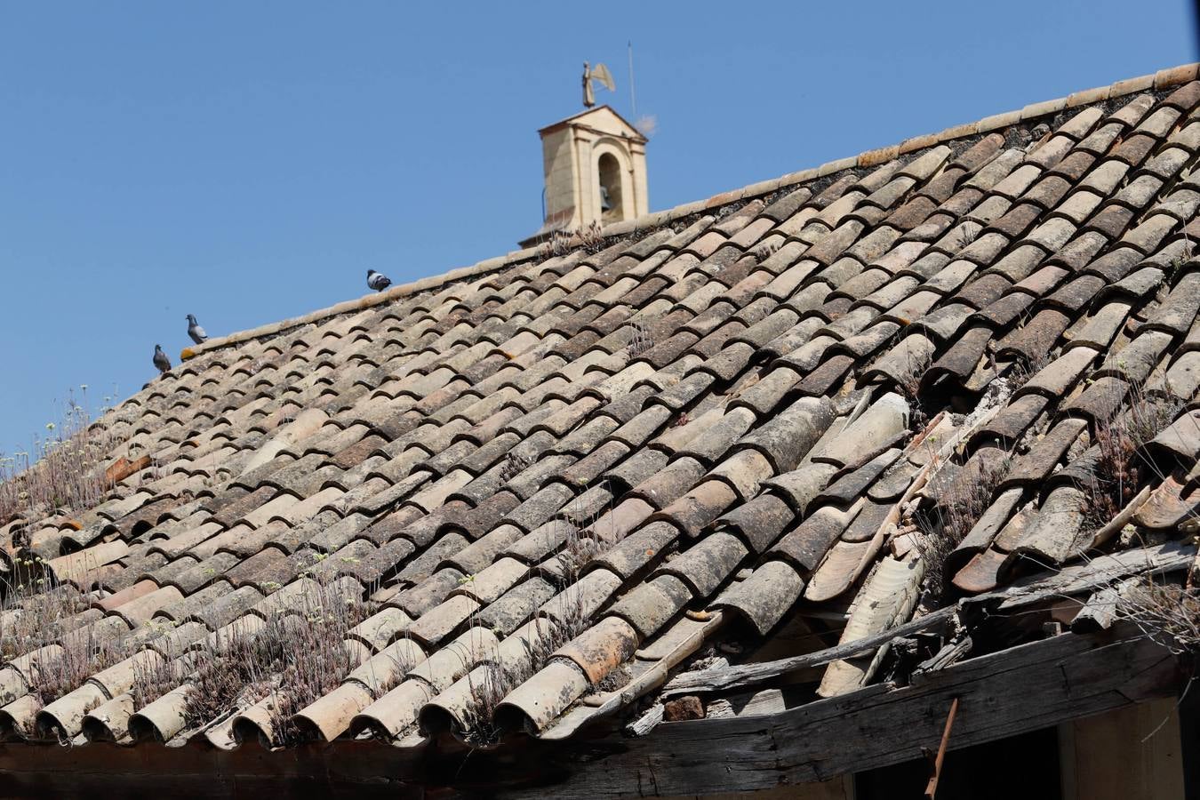 La restauración de la Casa de Triana en el Convento de Santa Cruz de Córdoba, en imágenes