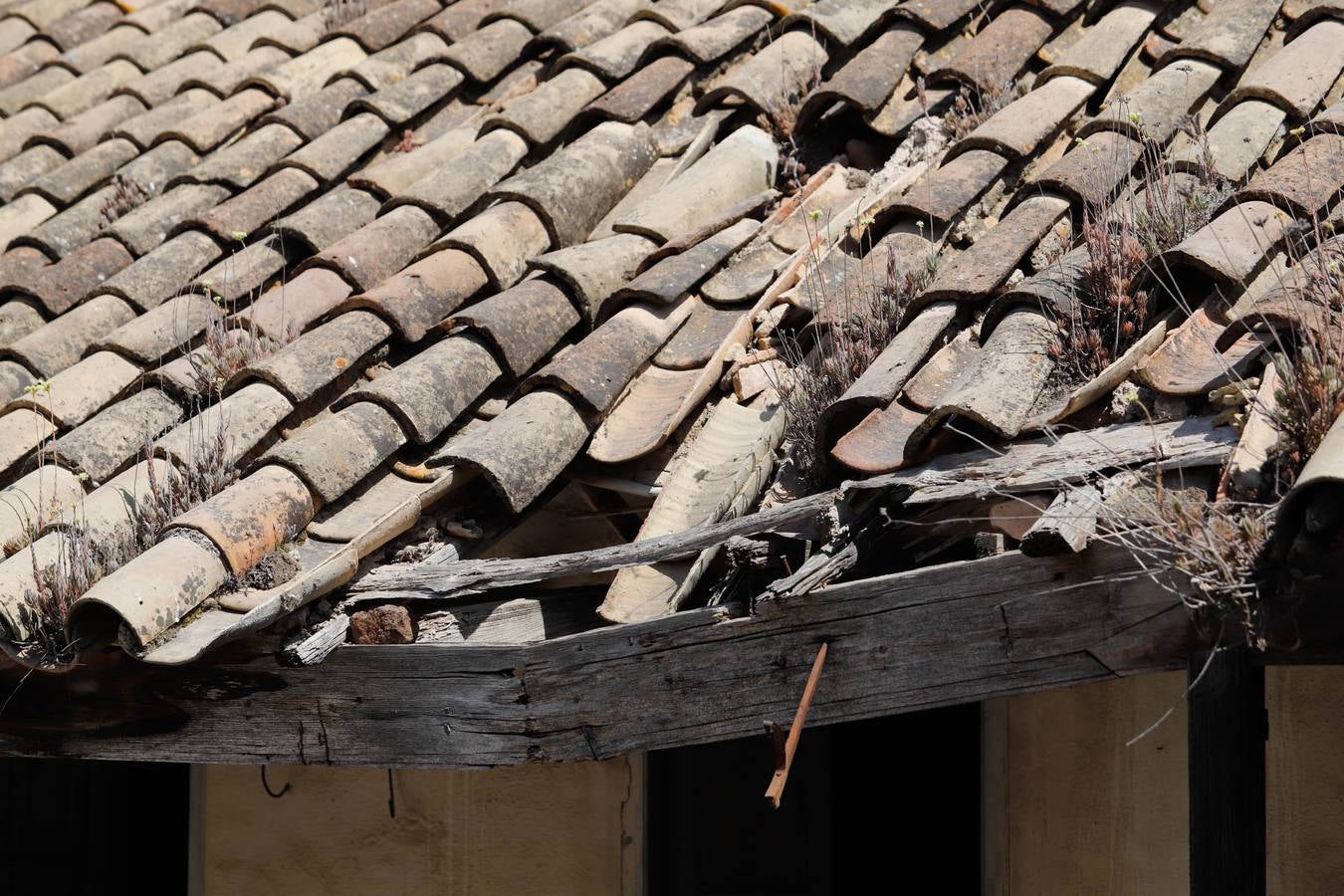 La restauración de la Casa de Triana en el Convento de Santa Cruz de Córdoba, en imágenes