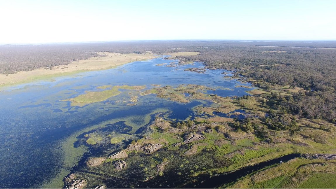Paisaje de Budj Bim, Australia. Budj Bim, ubicado en el suroeste de Victoria, es uno de los sistemas de acuicultura más grandes y antiguos del mundo. Hace aproximadamente 6.600 años, los aborígenes usaron la abundante roca volcánica local para construir trampas para peces, presas y estanques