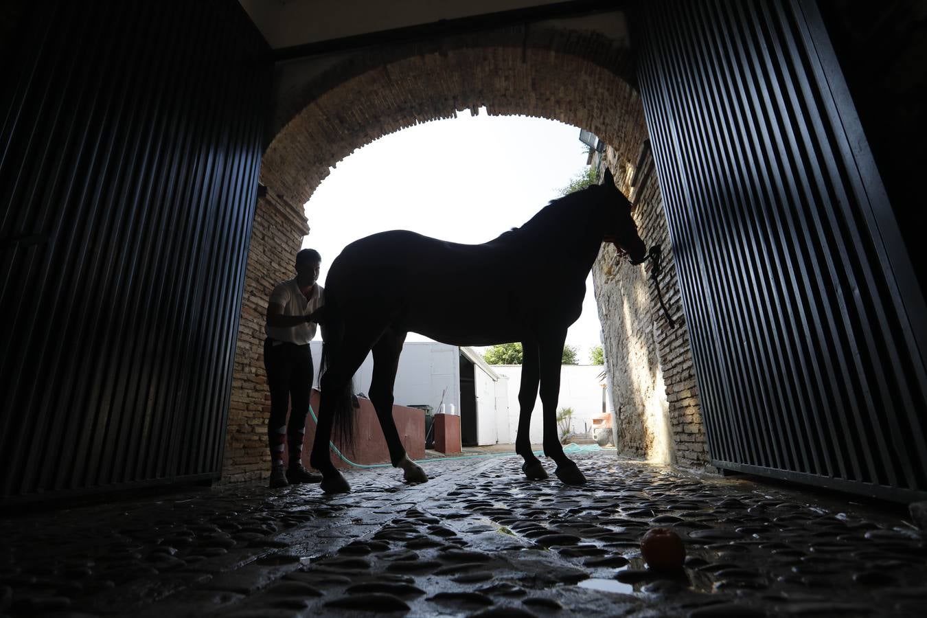 La huerta de Caballerizas Reales, en imágenes