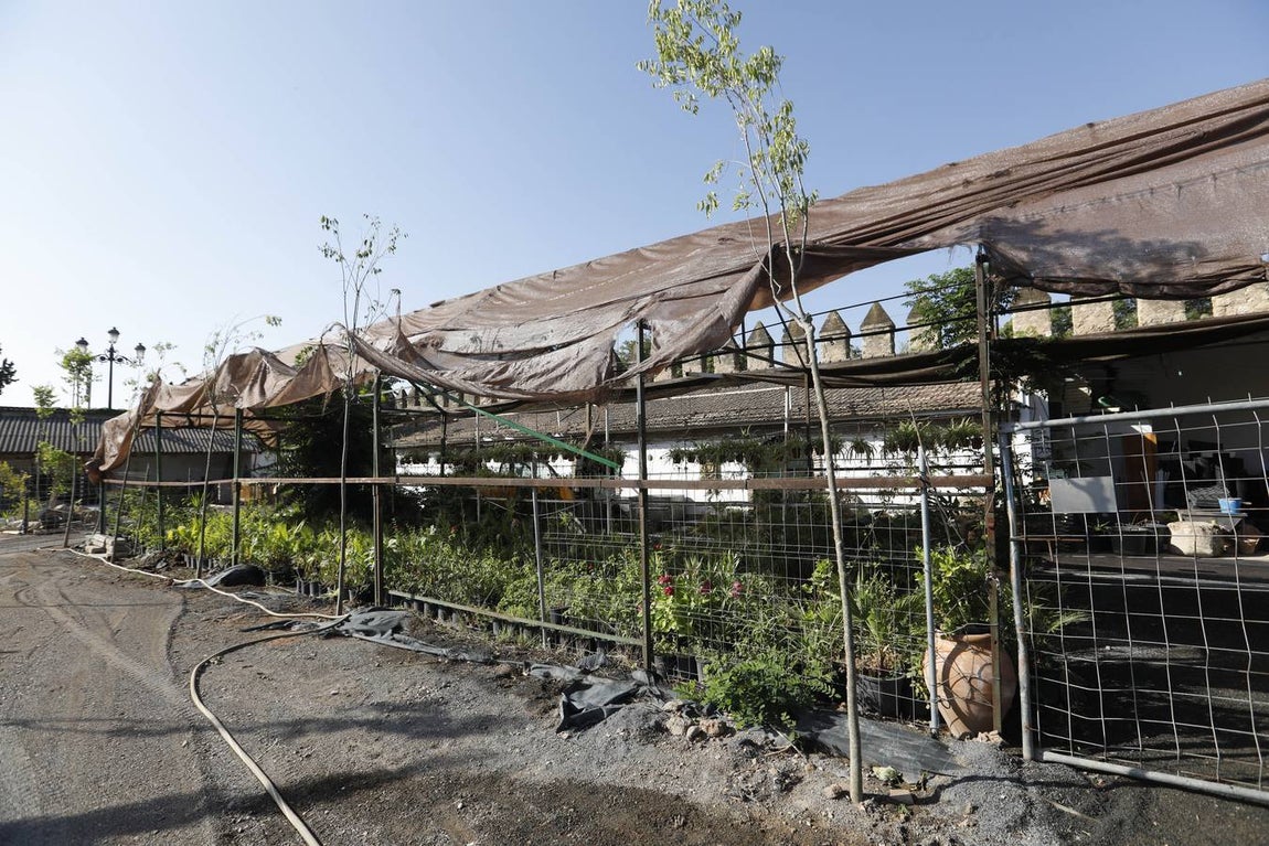 La huerta de Caballerizas Reales, en imágenes