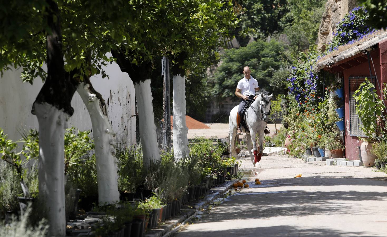 La huerta de Caballerizas Reales, en imágenes