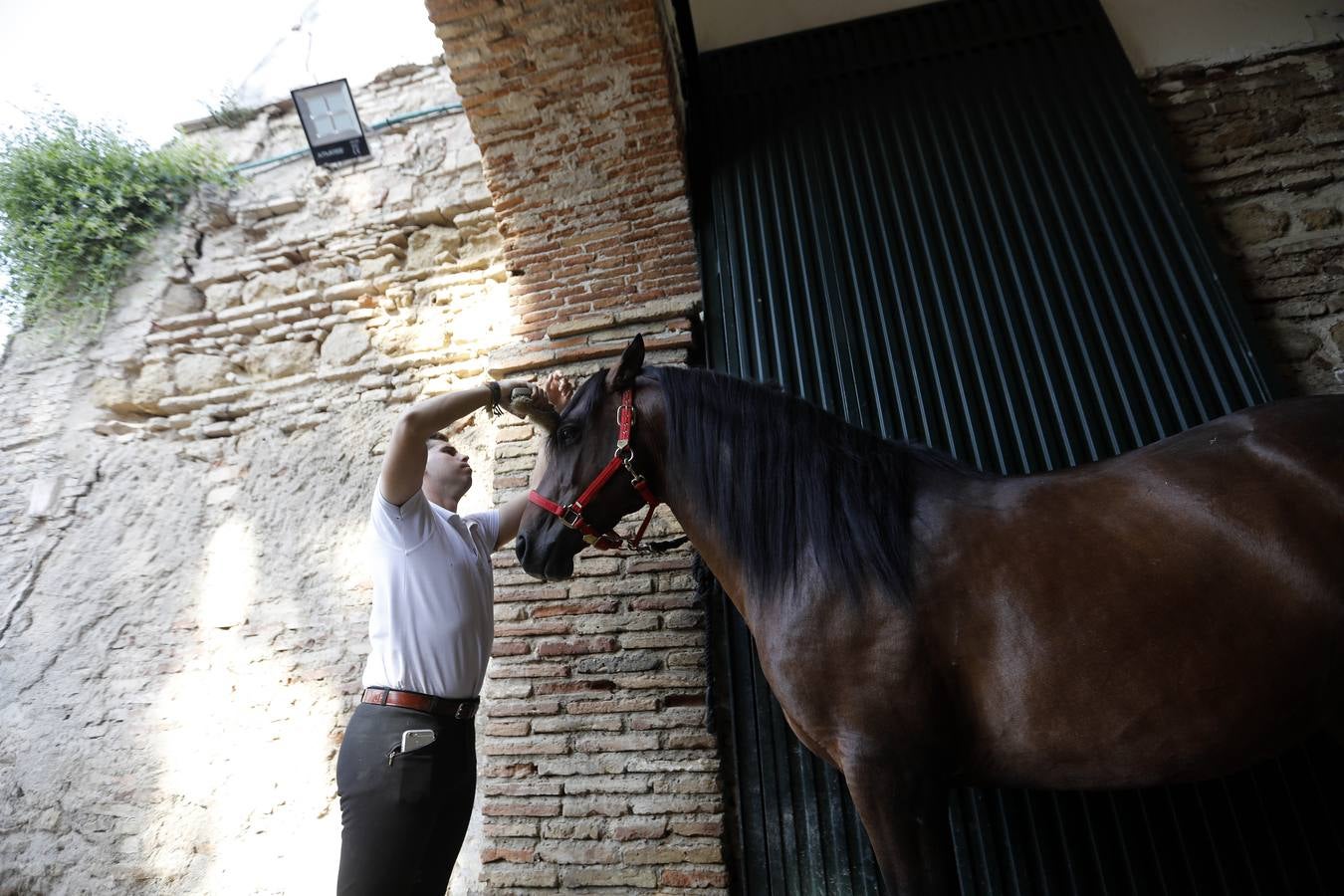 La huerta de Caballerizas Reales, en imágenes