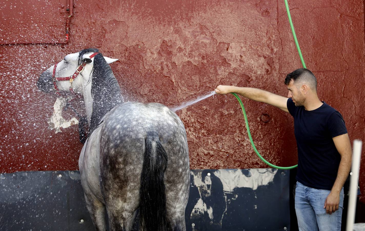 La huerta de Caballerizas Reales, en imágenes