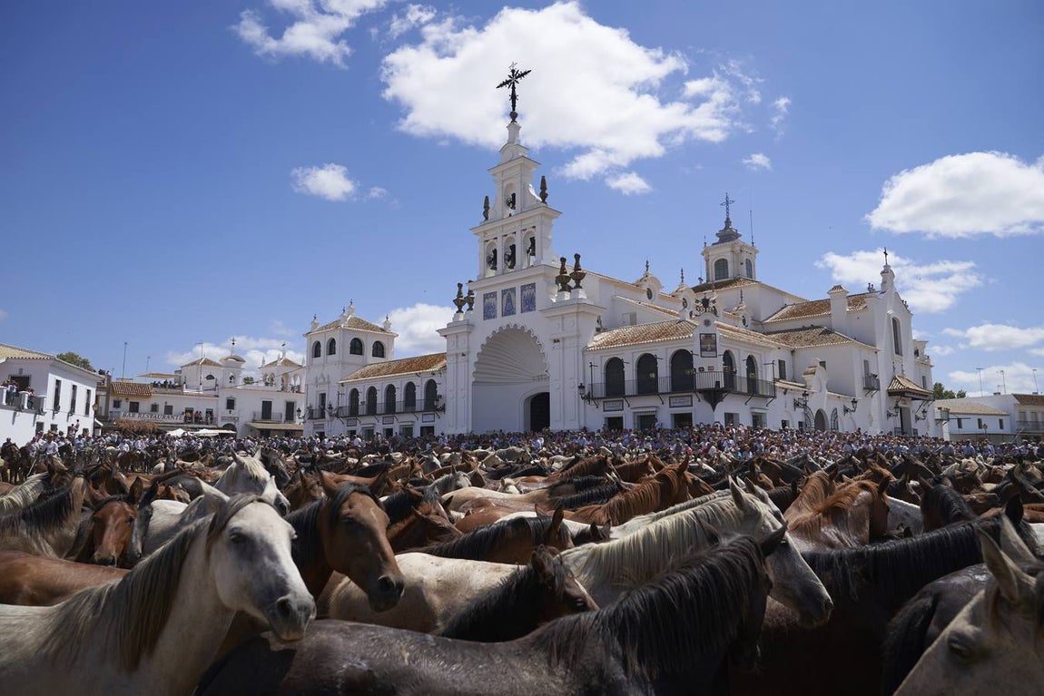 Impresionantes imágenes de la Saca de yeguas en el Rocío
