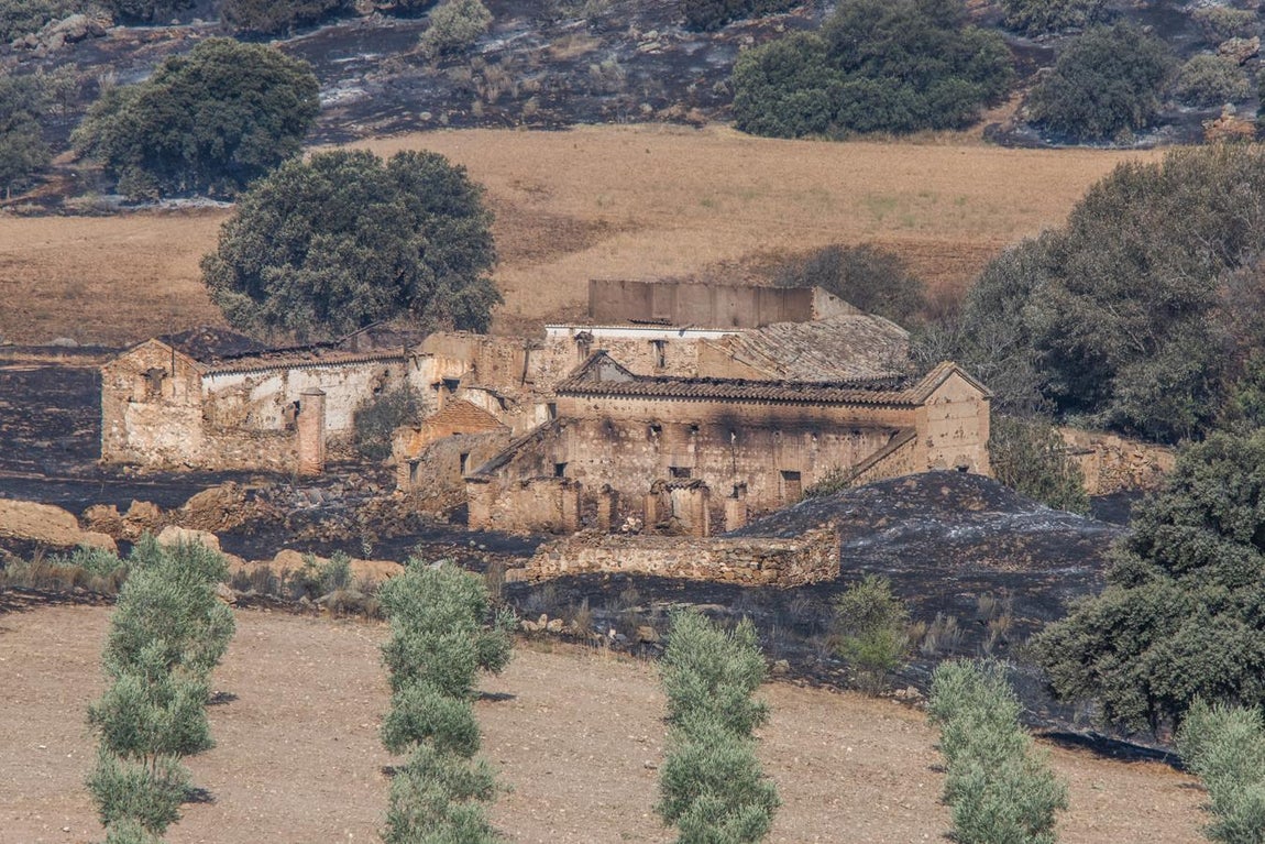 Los efectos del incendio de Montesión,en imágenes