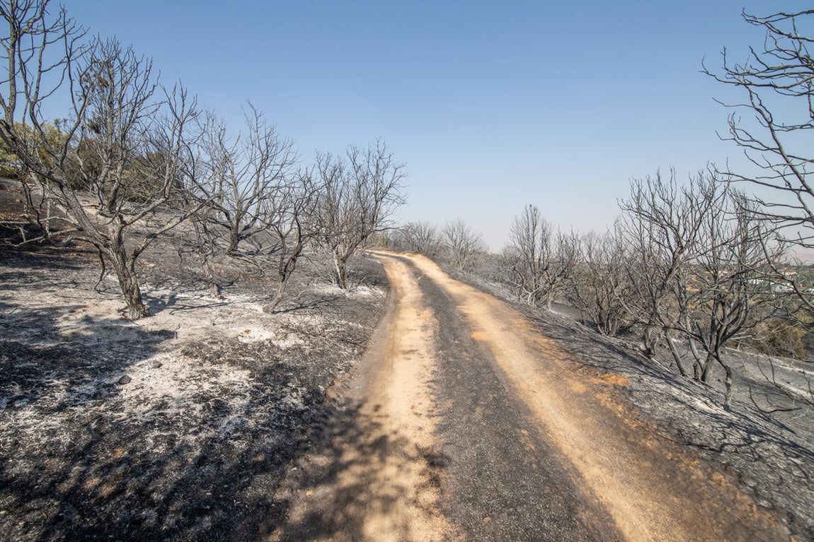 Los efectos del incendio de Montesión,en imágenes