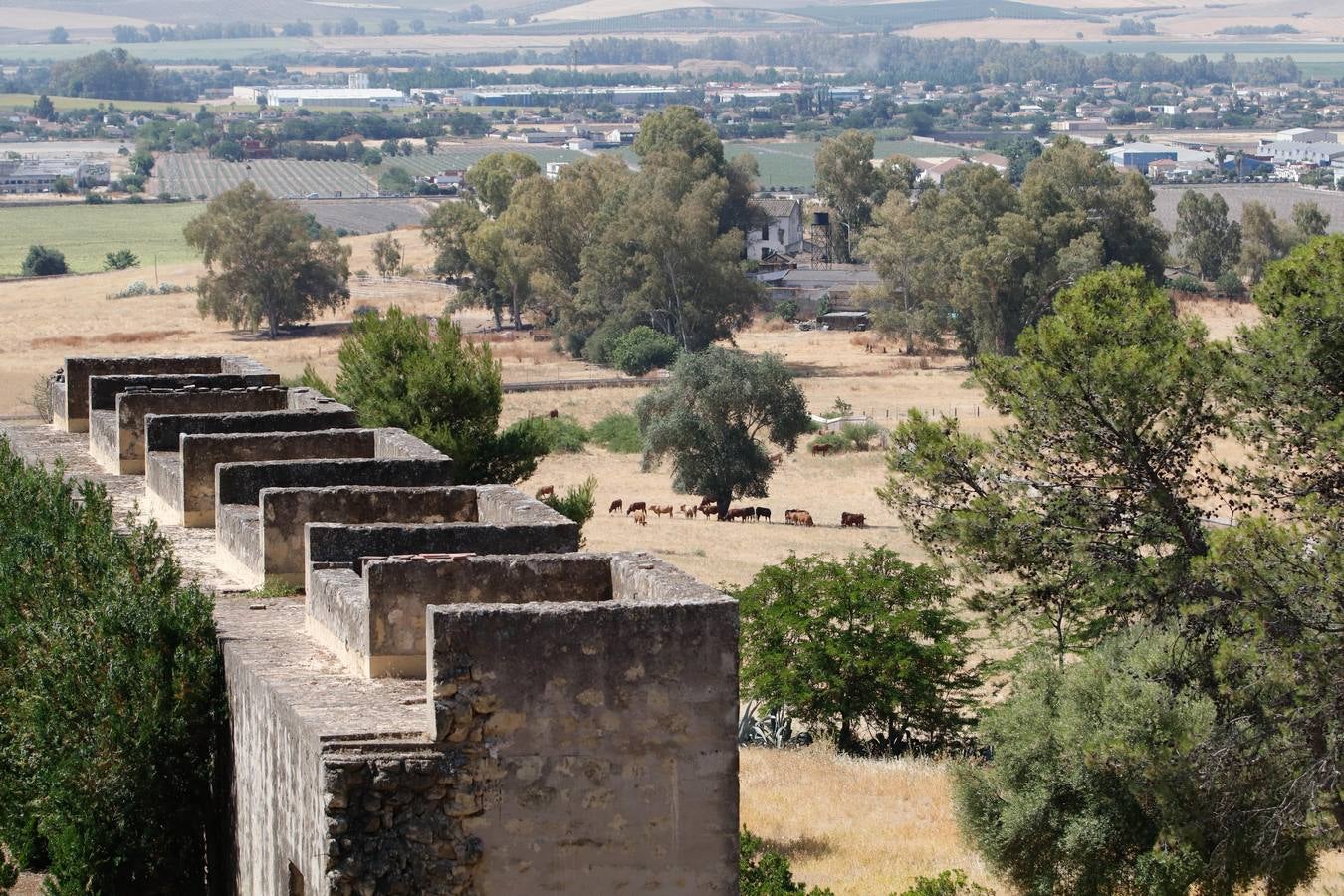 Un año de Medina Azahara como Patrimonio Mundial de la Humanidad, en imágenes