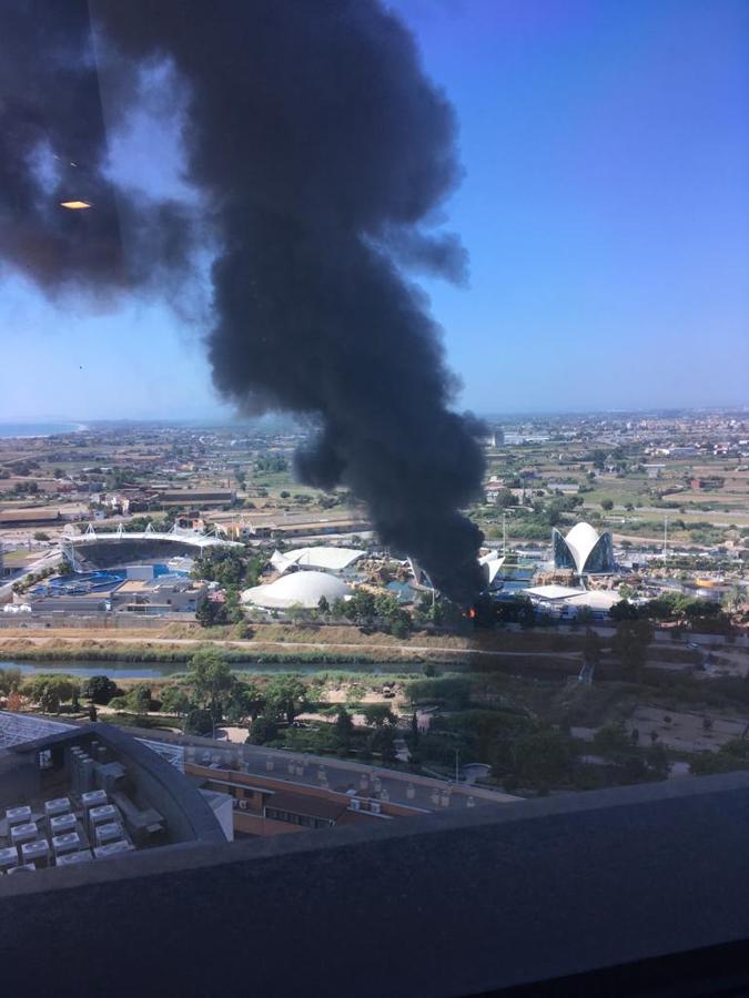 Efectivos trabajan en la extinción del incendio en el Oceanogràfic. 