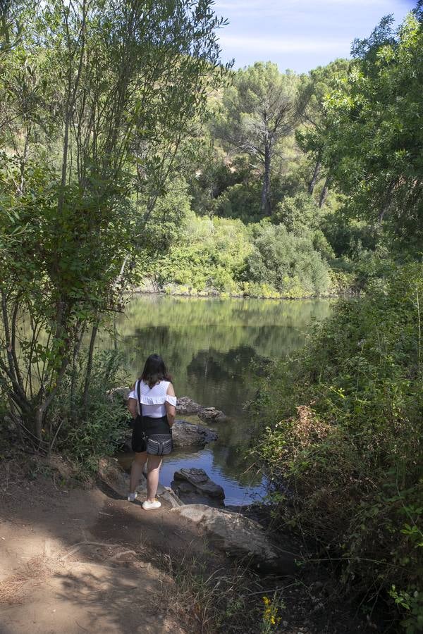 En imágenes, un paseo por Santa María de Trassierra
