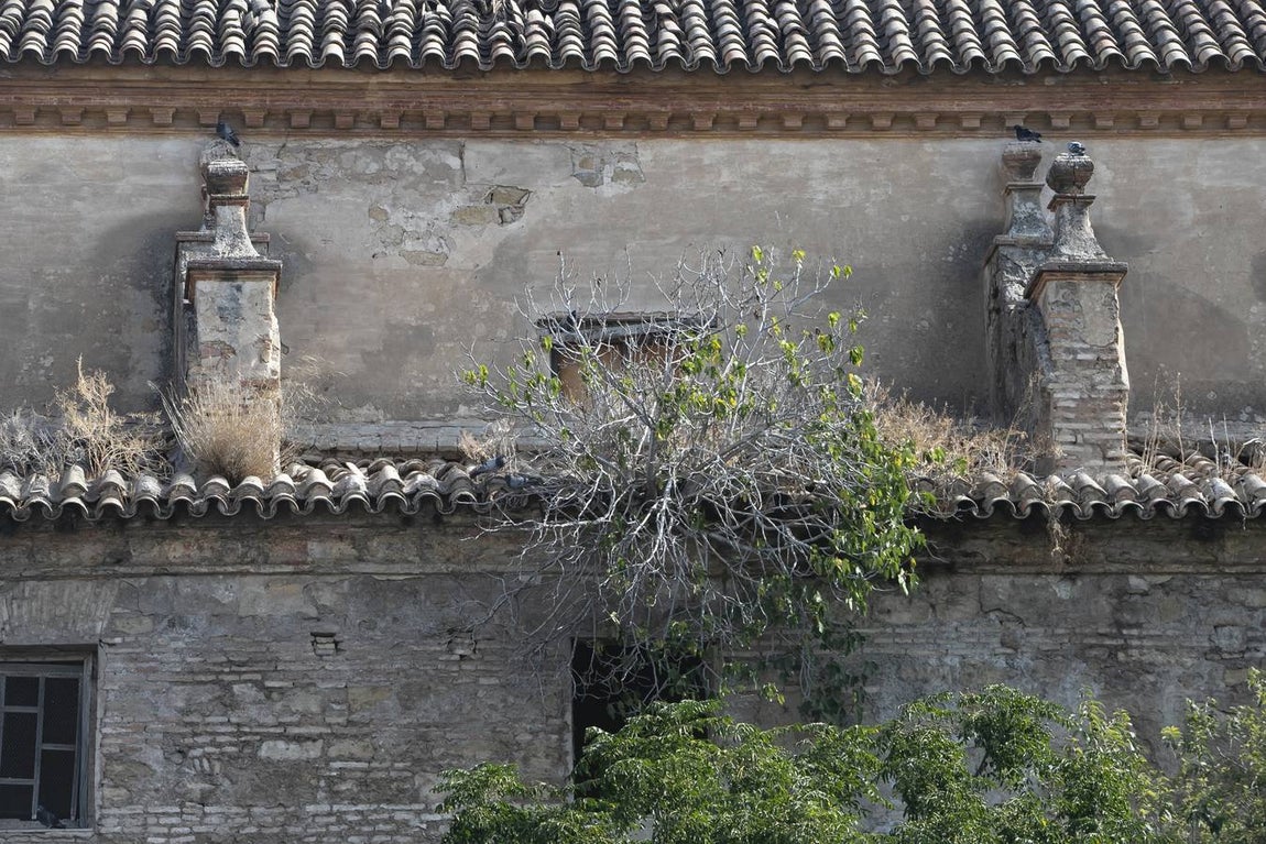 La Iglesia de Campo Madre de Dios, en imágenes