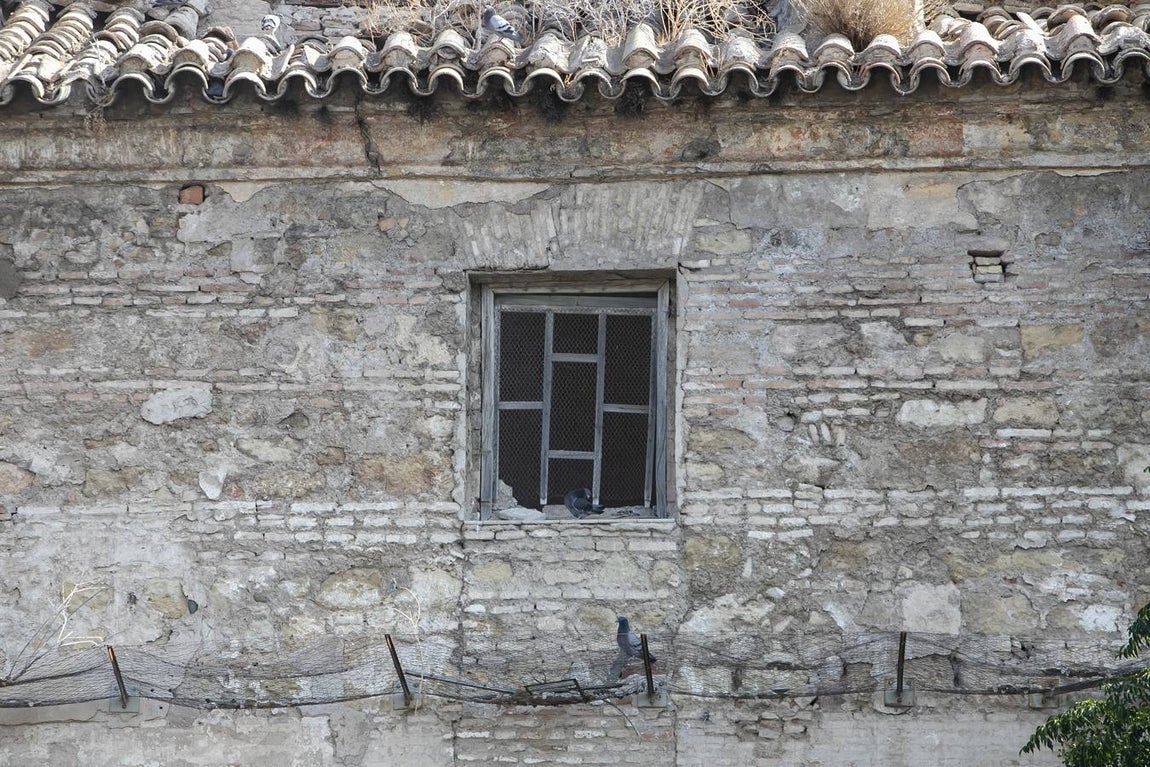 La Iglesia de Campo Madre de Dios, en imágenes
