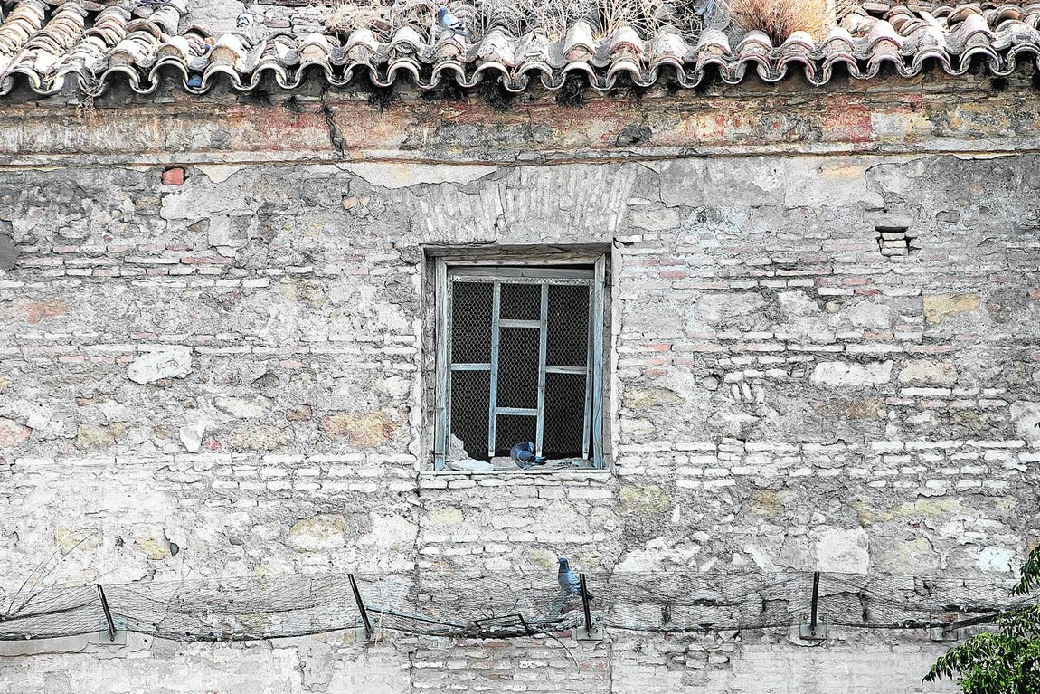 La Iglesia de Campo Madre de Dios, en imágenes