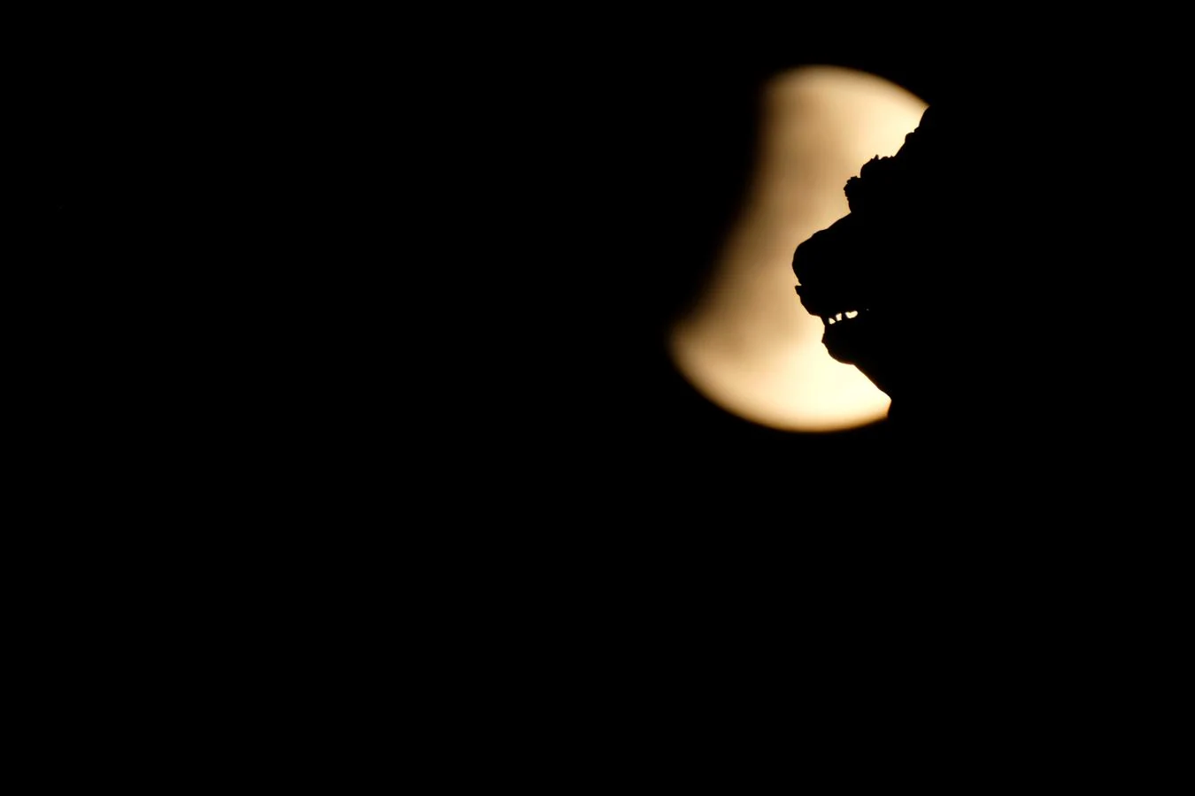 La luna se observa durante el eclipse y parcialmente tapada por el León alado de la Plaza de San Marcos en Venecia (Italia).. 