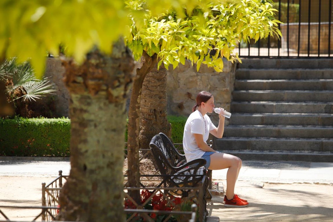 Los turistas bajo el calor de Córdoba, en imágenes