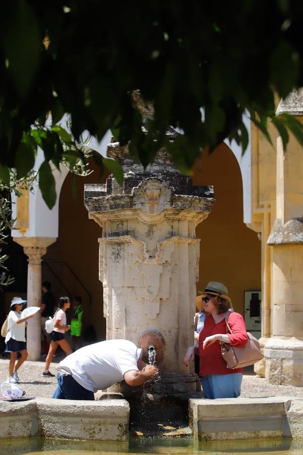Los turistas bajo el calor de Córdoba, en imágenes