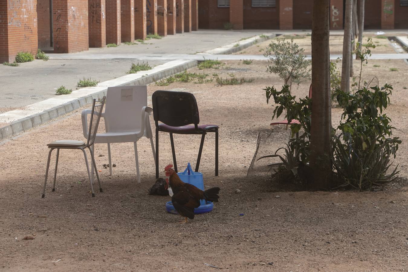 Un día en el barrio cordobés de Las Moreras, en imágenes