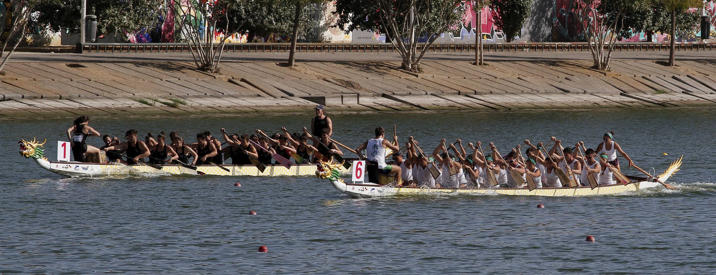 El Campeonato de Europa de Dragon Boat en Sevilla, en imágenes