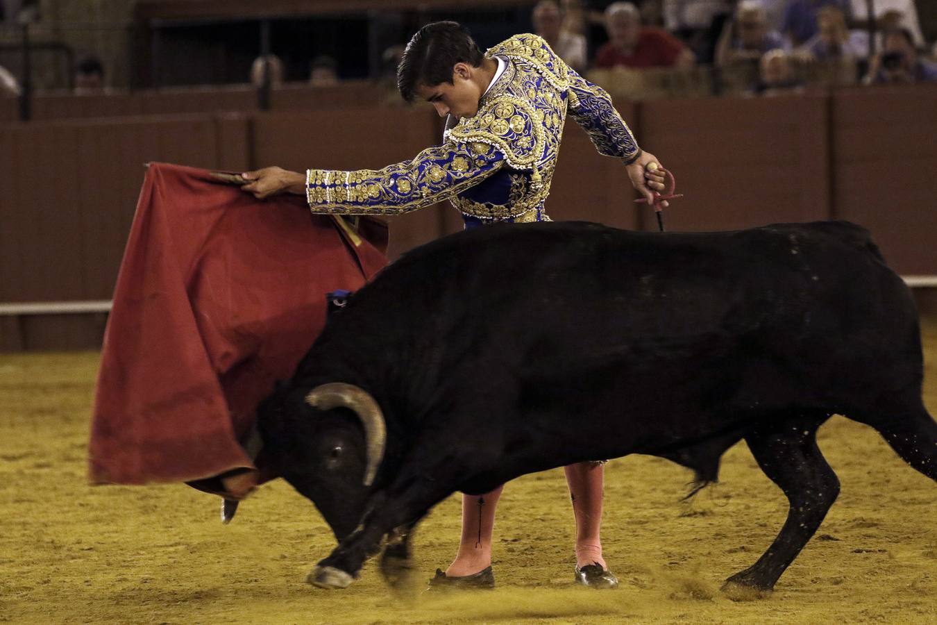 En imágenes, novillada de promoción en la Maestranza de Sevilla