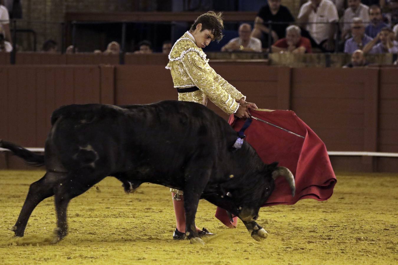 En imágenes, novillada de promoción en la Maestranza de Sevilla