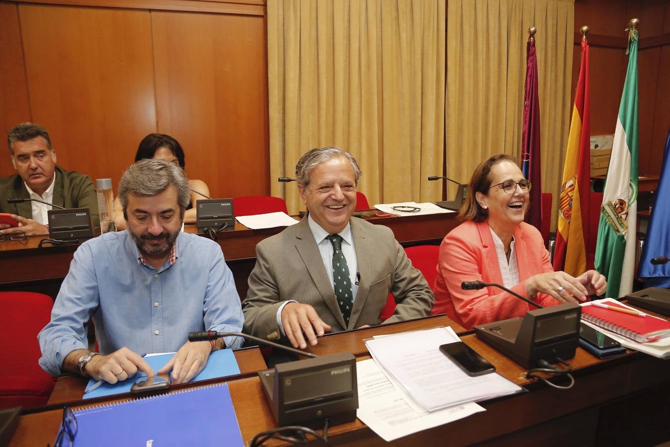 El Pleno del Ayuntamiento de Córdoba, en imágenes