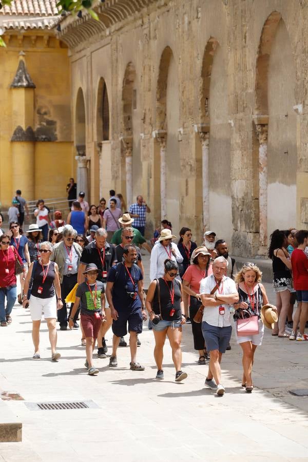 Visitas turísticas guiadas en Córdoba, en imágenes