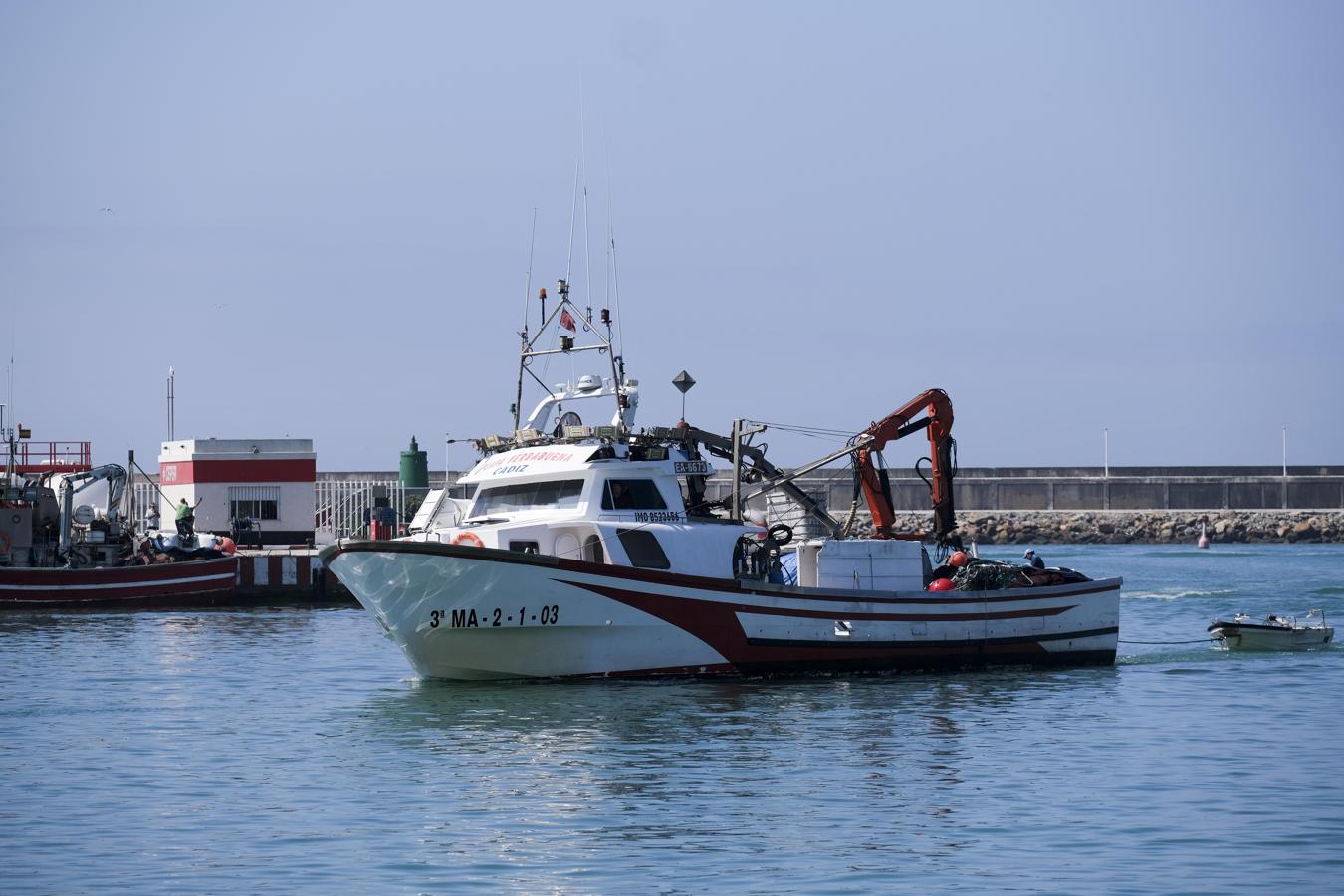 FOTOS: Los pescadores de Barbate empiezan a faenar